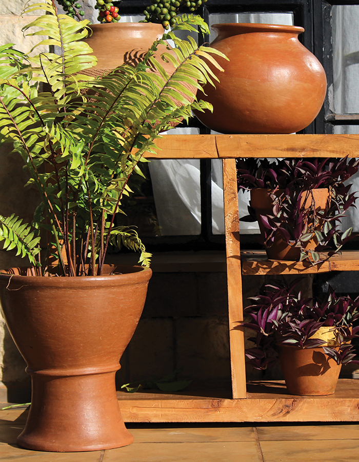 Low light plants such as the Polypodium fern and the wandering jew in natural terracotta pots. Displayed outdoors. Image: Shop Nanjala